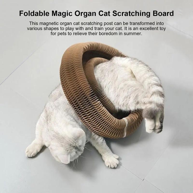 Foldable Cat Toy, Durable Funny Cat Scratcher with Bell, Durable Cat Scratching Toy, Funny Interactive Pet Paws Kitten Scratching Toy, Pet Supplies for Indoor Outdoor Use, Cat Toys, Pet Products Tools 3