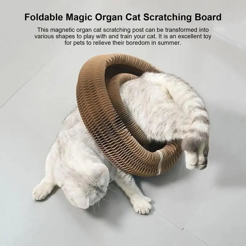 Foldable Cat Toy, Durable Funny Cat Scratcher with Bell, Durable Cat Scratching Toy, Funny Interactive Pet Paws Kitten Scratching Toy, Pet Supplies for Indoor Outdoor Use, Cat Toys, Pet Products Tools 4