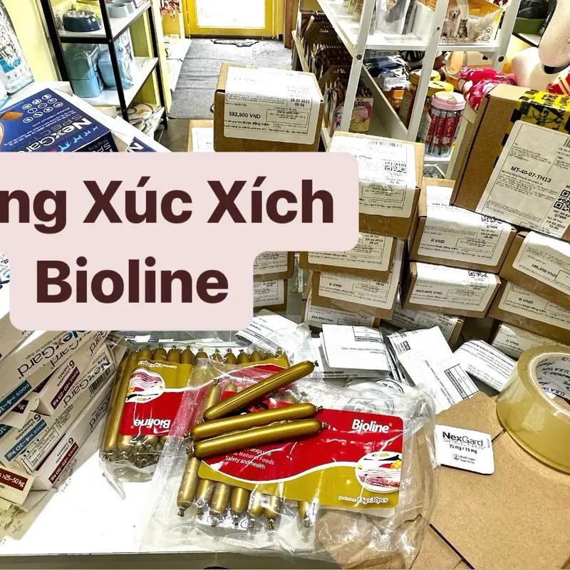 (Chính hãng Date mới) Lẻ 1 Viên Nexgard phòng và trị ve rận bọ chét ghẻ xà mâu cho Chó vị thịt bò thơm ngon 2