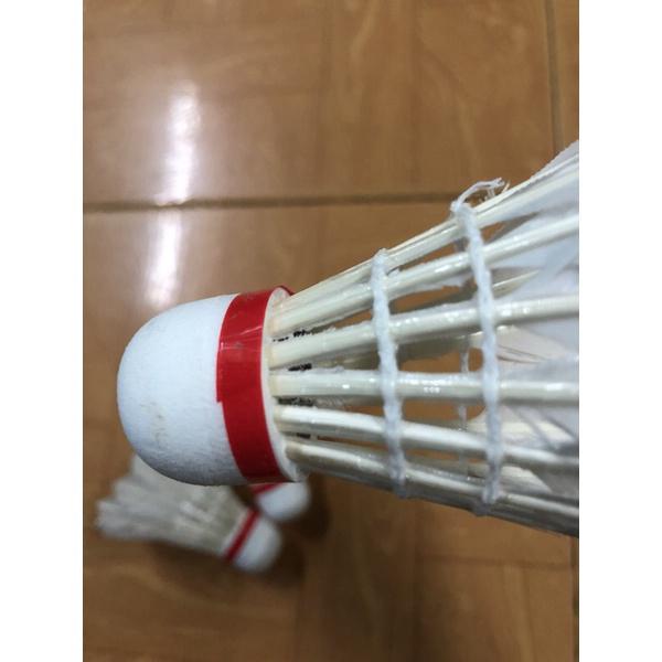 Product Introduction of Cầu lông đánh vợt chất liệu lông vịt quả cầu lông 3