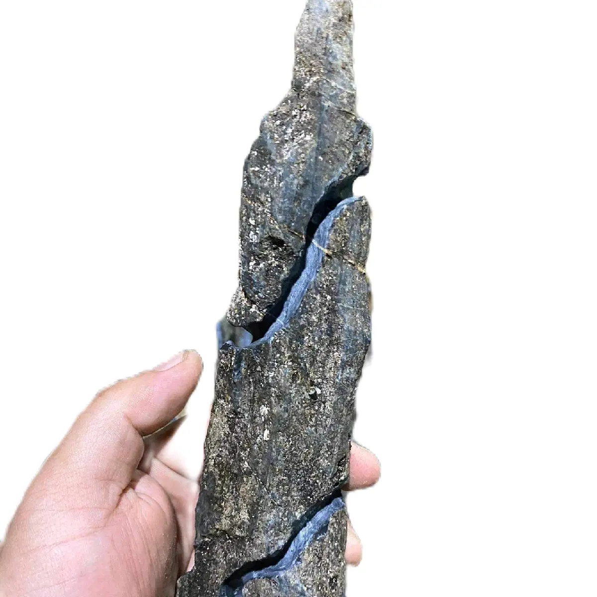 đá trồng cây bonsai cao từ 15-20 cm phân hữu