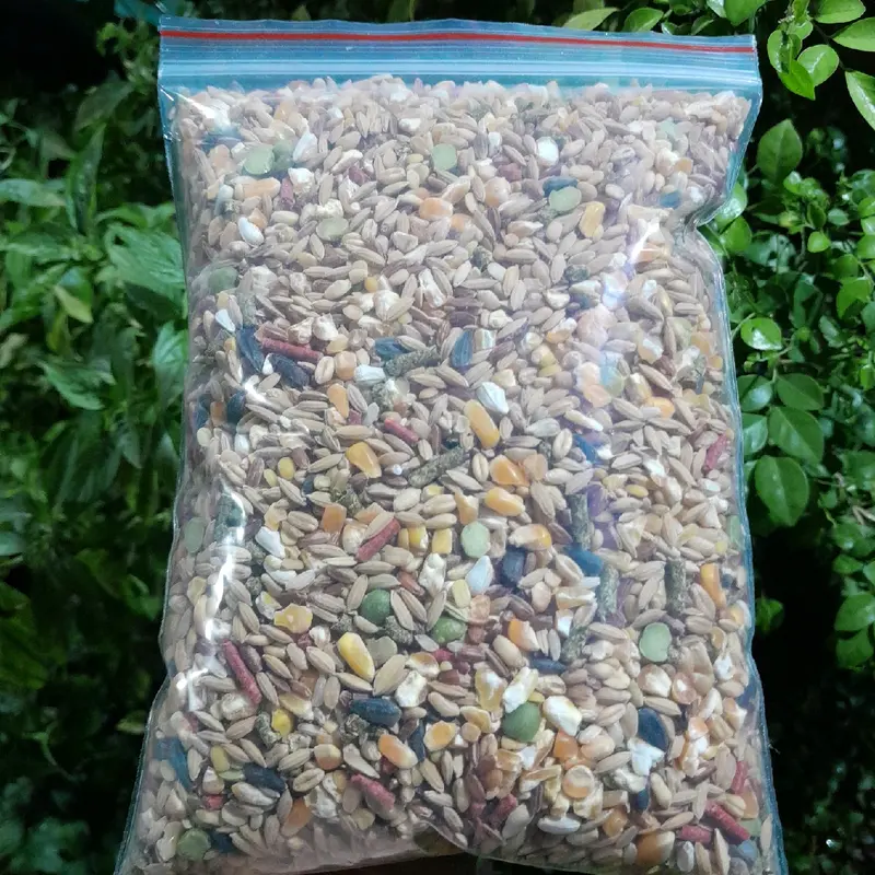 Ngũ cốc dinh dưỡng 1kg dành cho chim cu gáy, bồ câu, gà đá,... 3