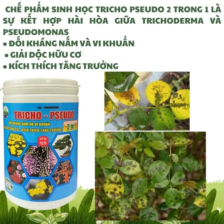 TRICHO - PSEUDO (2IN1): Chế Phẩm Đối Kháng Nấm , Chuyên Dùng Cho Hoa Lan Và Cây Cảnh - Hũ 1 KG 1