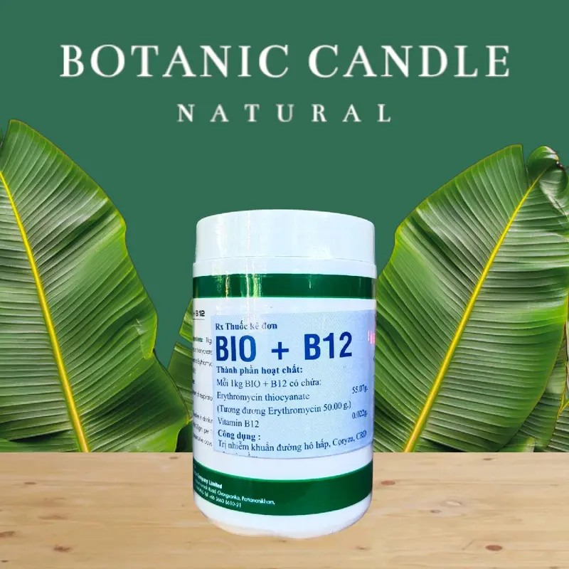 Bio+B12 (hủ 100g) Thuốc úm gà con phòng trị các bệnh nhiễm khuẩn đường hô hấp, coryza, CRD 1