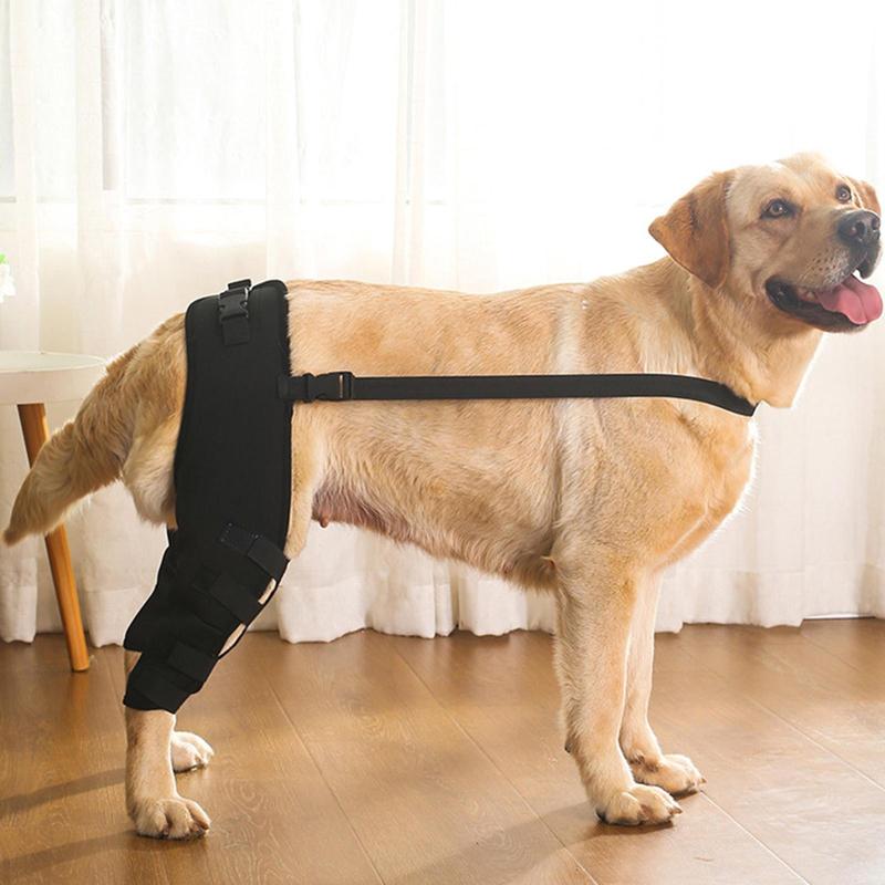 Dog Leg Support Brace Rear Leg Knee Brace Hip Joint Support - TikTok ...