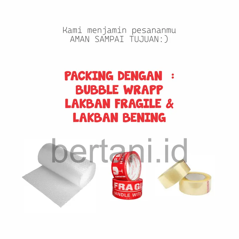 PENGUSIR KUCING LIAR Berak dan Pipis Sembarangan | Cat Repellent Spray 3