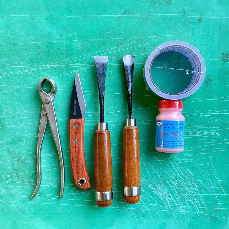 Bộ 3 và 6 Dụng Cụ Làm Vườn Bonsai Cây Cảnh Cạp Tròn Dao Ghép Cành Cưa Lách Băng Bạc Keo Dán đục gỗ combo 6 mon combo lam dao  khoanh kìm bấm