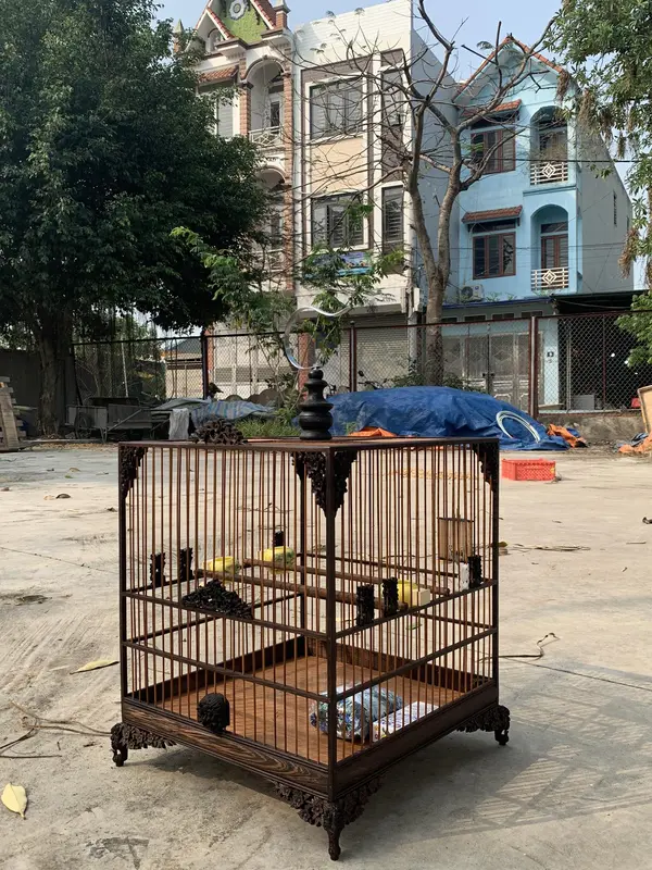 Khung lồng chào mào đục hoa mai gỗ mun cực đep giá rẻ VUMINO 4