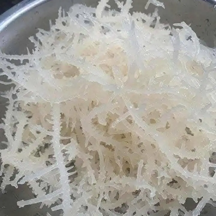 Rong Sụn Khô 1kg  làm gỏi nấu chè