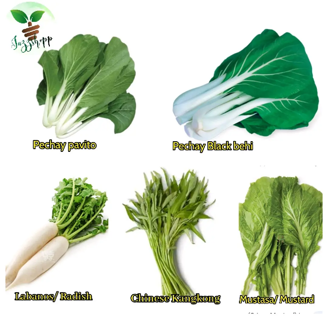 Certified seeds / Pechay/mustasa/Labanos/chinese kangkong(50g-100g ...