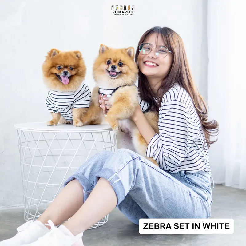 POMAPOO - Set Baju Wanita dan Baju Kucing dan Baju Anjing Zebra Long Slevee Set 0