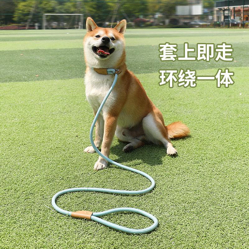 Product Introduction of Pet Cat Scratching Artifact, Corner Scratching Wall Hair Scratcher, Self-Entertainment Toy, Face Rubbing Massager, Cat Scratching Board 27