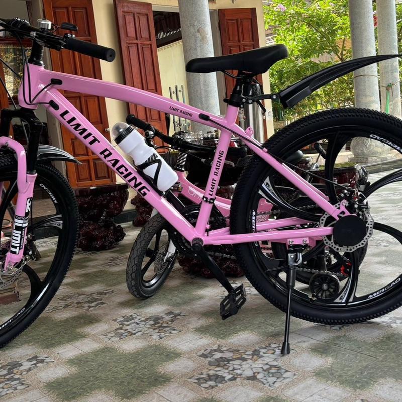 Xe đạp thể thao Limit Racing vành đúc 26 inch xe địa hình road hồng Sports Fixed Gear