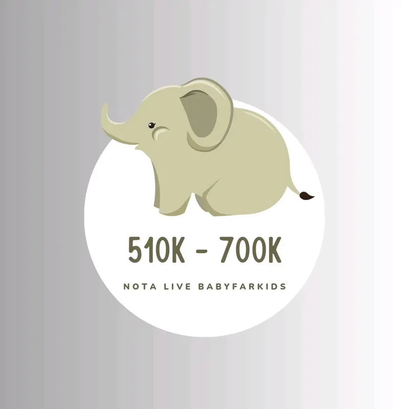 NOTA LIVE 510K-700K pakaian import anak 0