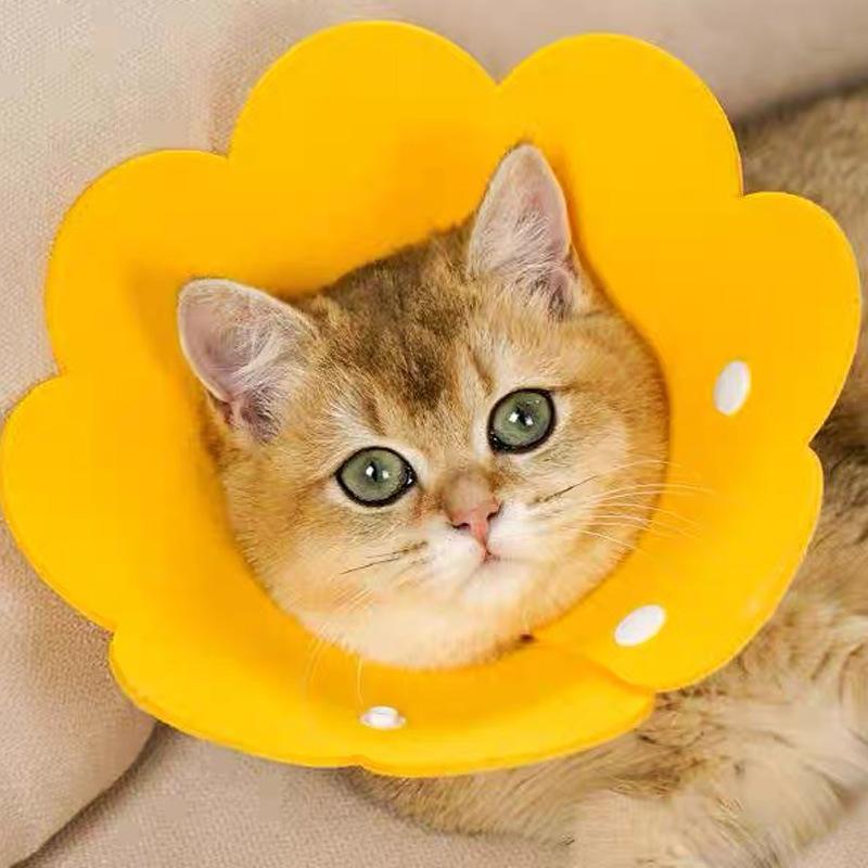 Vòng cổ Elizabeth hoa nỉ mềm nhẹ cho mèo chó, vòng cổ bảo vệ dễ thương, điều chỉnh được, dùng cho thú cưng sau phục hồi