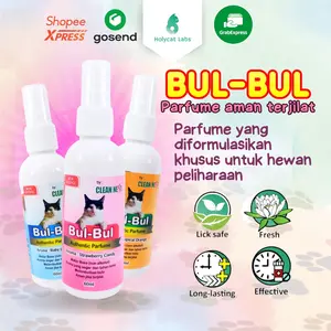 Parfum Kucing BUL BUL Authentic Perfume Aman Terjilat Non Alkohol Wangi Sepanjang Hari 60 ML