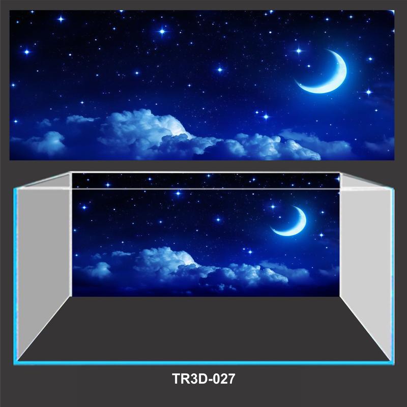  Tranh 3D dán bể cá mẫu TR3D-027 chống phai màu chống thấm nước PVC - Việt Nam sản xuất 