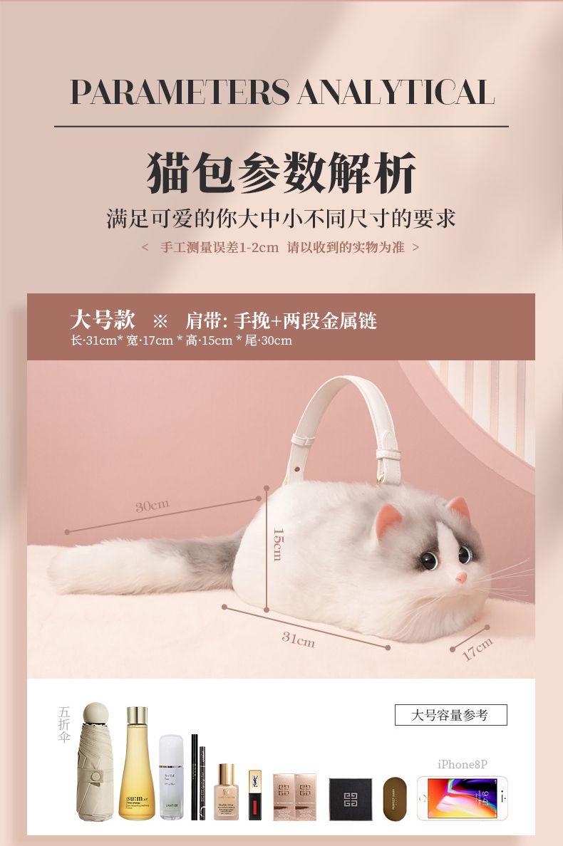 Product Introduction of This Year's Popular Bag Small Bag Niche 2022 Super Hot All-Match Western Style Mobile Phone Bag New Internet Celebrity Chain Messenger Bag 3