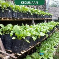Gambar INFARM - Polybag Tanaman Tebal 30 Pcs  Ukuran 15x15 Polibag Tidak Berbau Infarm Polibag Tanaman Polybag Ecer Berbagai Ukuran Warna Hitam Plastik Tebal Premium Persemaian Sayur Buah Bunga Hidroponik Rockwool Polybag Greenhouse Media Semai Tanaman dari Infarm Kota Surabaya 4 Tokopedia