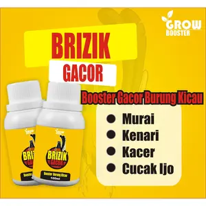 BRIZIK GACOR - Vitamin Burung Kicau 100ml, Suplemen ATP & Probiotik, Tingkatkan Durasi & Suara, Cocok untuk Burung Macet, Serak, Gacor, Lomba, Murai, Kenari, Kacer, Cucak Ijo