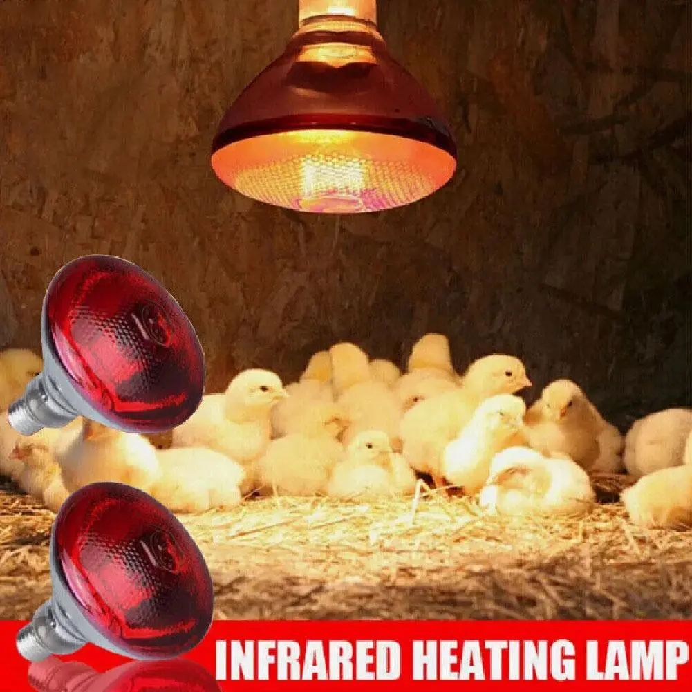 Lampu Haba Inframerah, 100w-275w, Mentol Anak Ayam dan Brood, Cahaya Anti-letupan, Tebal, O3W2