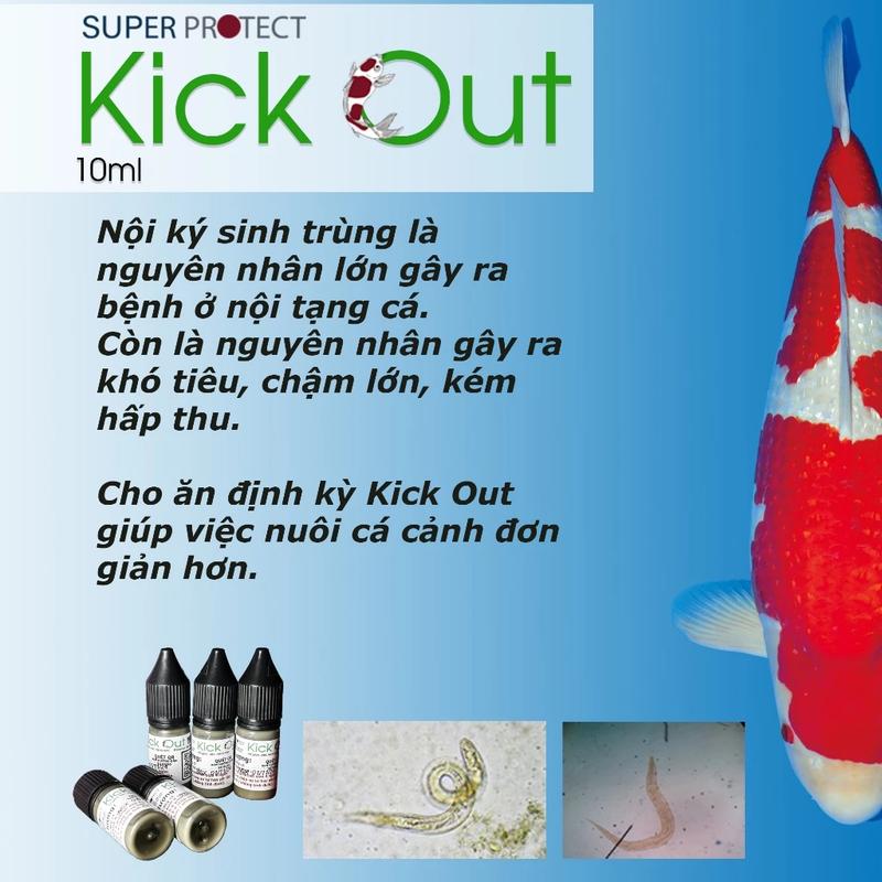 [Super Protect] Xổ giun cá cảnh xử lý nội ký sinh giun sán trong đường ruột tốt cá chép, cá vàng, sư tử, phi tần lọ 10ml dễ dùng