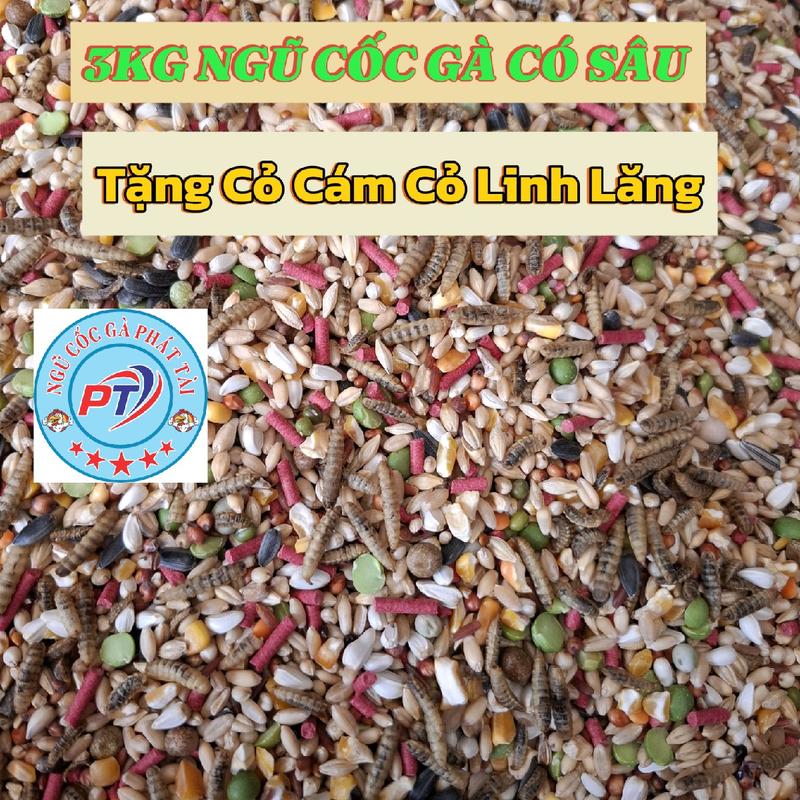 3 KG MẪU NGŨ CỐC CÓ SÂU CANXI Tặng 1 bịch cỏ Linh Lăng ép Viên