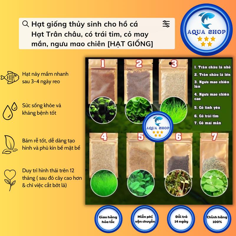 Hạt Giống Cây Thủy Sinh (Trân Châu Ngọc Trai, Ngưu Mao Chiên, Cỏ Tình Yêu, Cỏ May Mắn)