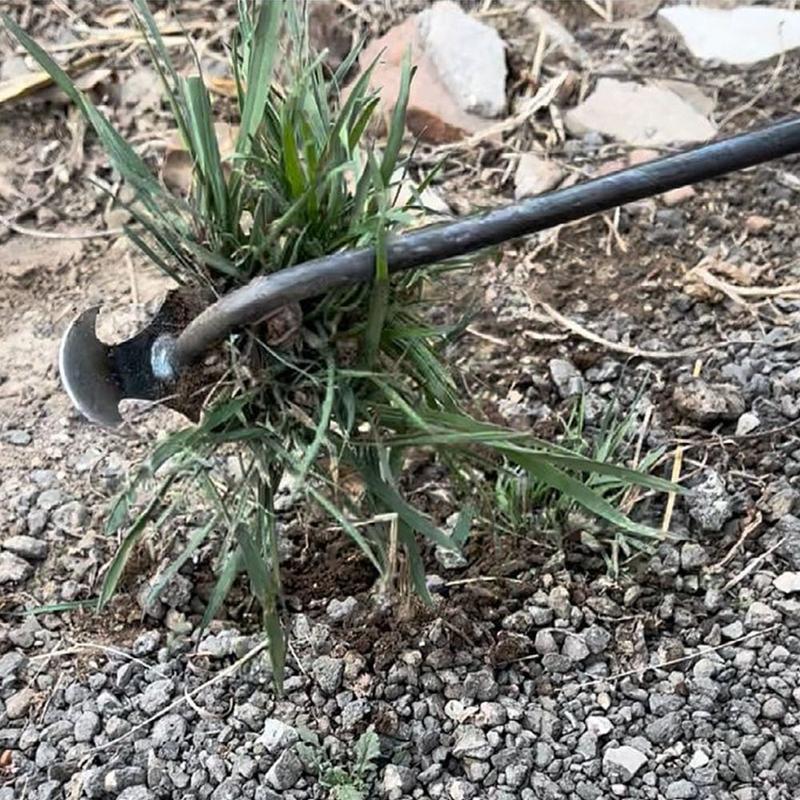 Product Introduction of New Uprooting 4 Teeth Weeders Weed Remover Forged Weed Puller Weeding Tool Weeding Artifact 15