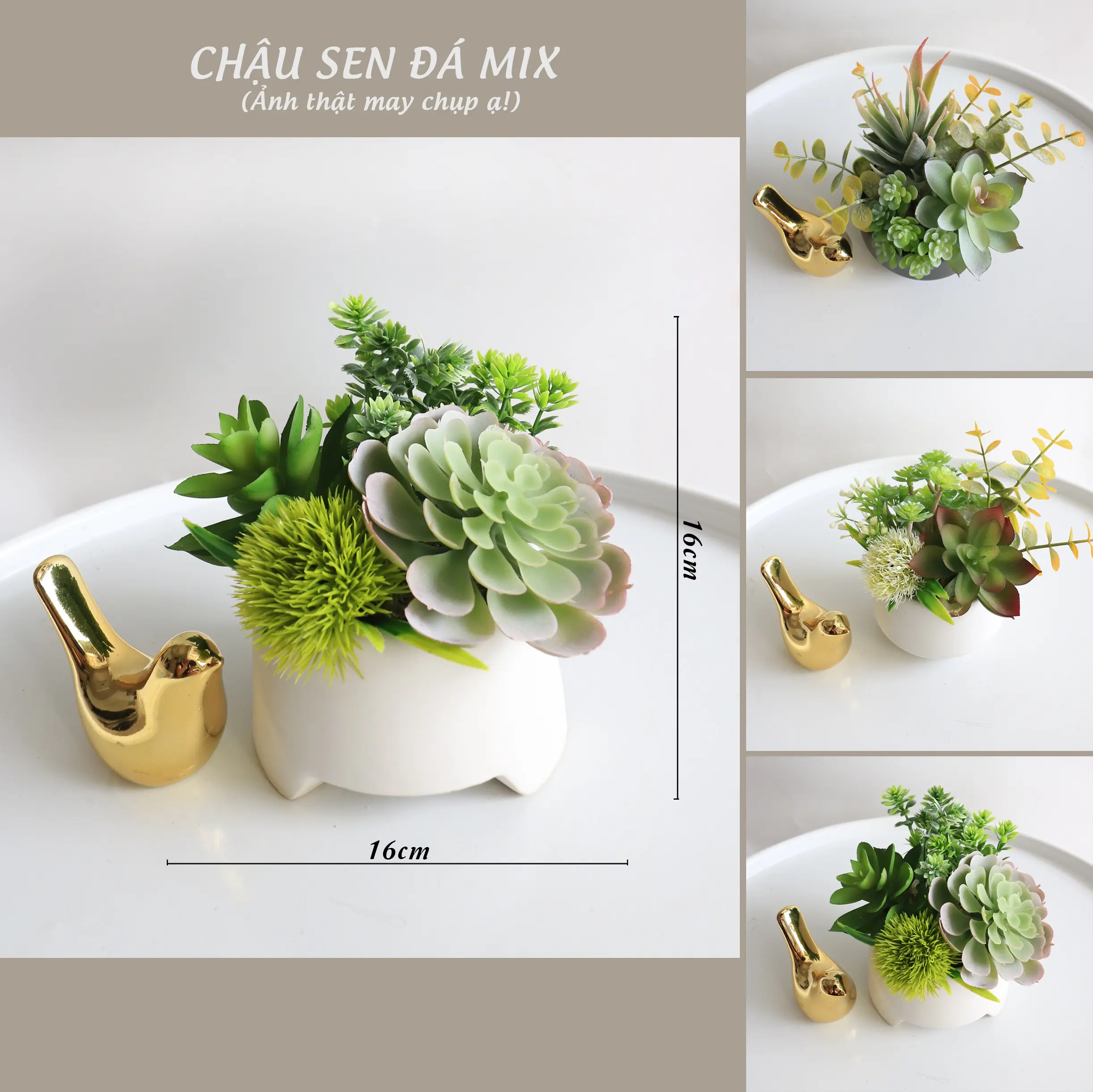Cây nhân tạo,Chậu Sen Đá Mix để bàn trang trí chậu sứ Trang Trí Nhà sen  đá sen đá Decor Phòng