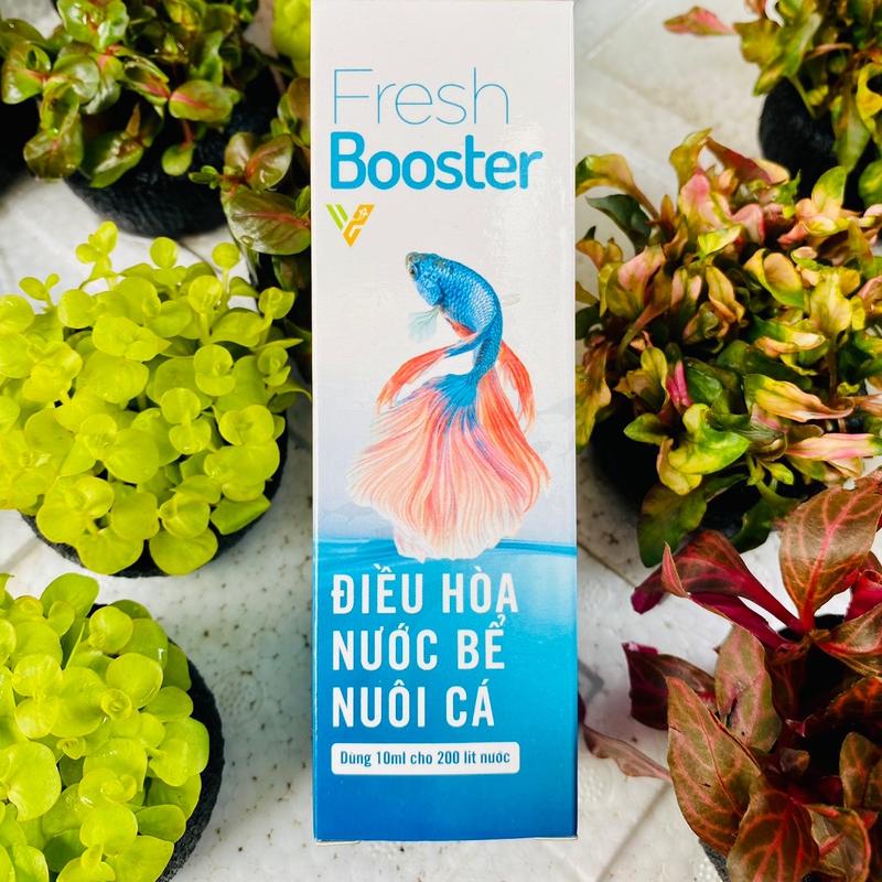 FRESH BOOSTER loại bỏ clo - Nước Mới Cho Cá, Chống Sốc Khi Thay Nước