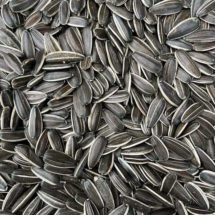 Hạt hướng dương nguyên vị Túi 500gr