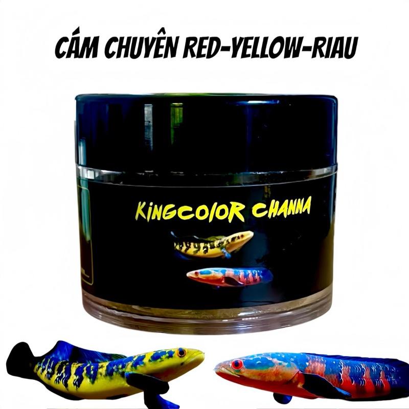CÁM KINGCOlOR CHANNA -Thức ăn dành cho cá lóc- Hỗ trợ cho các dòng lóc yellow - Red - riau- Hỗ trợ màu viền vẩy - baktik -Trọng lượng 15gram