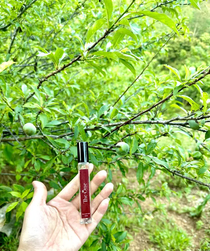 Nước Hoa The One Milan xịt 10ml Cosmetic Xịt Thơm Perfume Nữ 3