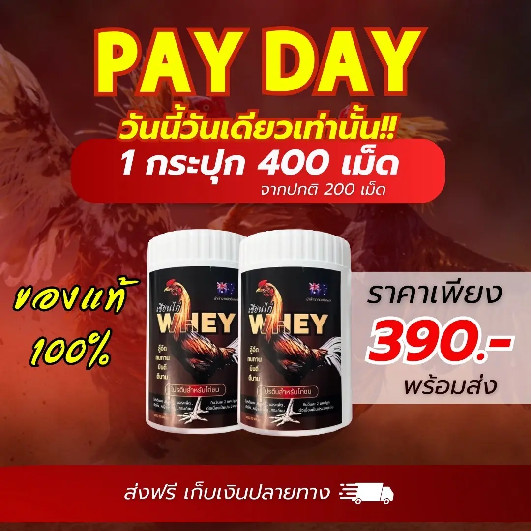 เวย์โปรตีนสำหรับไก่ เซียนไก่เวย์ 2 กระปุก 400 เม็ด(จากปกติ 200 เม็ด) ส่งฟรี สารสกัดสำคัญถึง 6 ชนิด ส่งฟรี