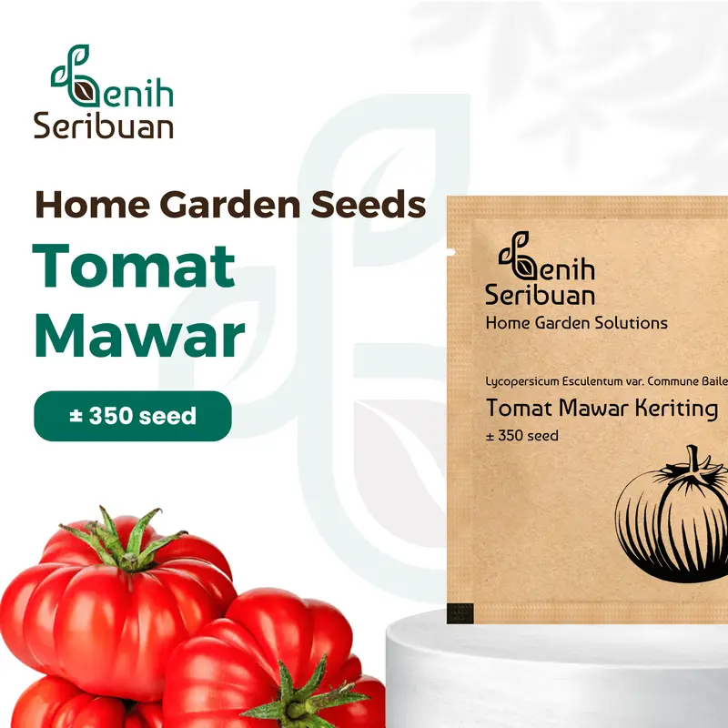 Benih Tomat Keriting Mawar - Benih Sayuran Seribuan 0