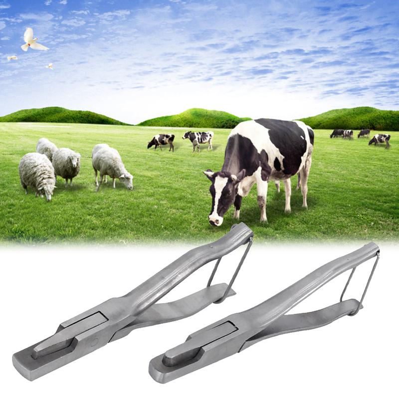 Mengyi-Dụng Cụ Bôi Thẻ Tai Để Ghi Lại Hiệu Suất Sản Xuất Lợn, Cho Lợn, Dấu Tai Để Nhận Dạng, Chống Mài Mòn 1