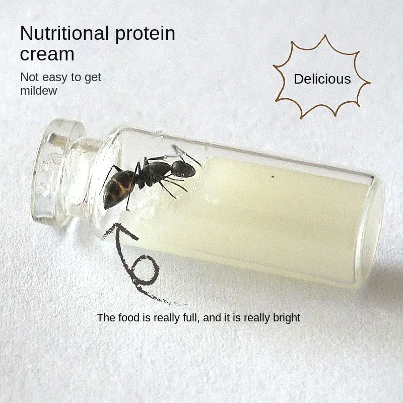Special Food For Ant Castle Convenient And Simple Food For Ants High Nutrition Not Easy To Mold And High Protein