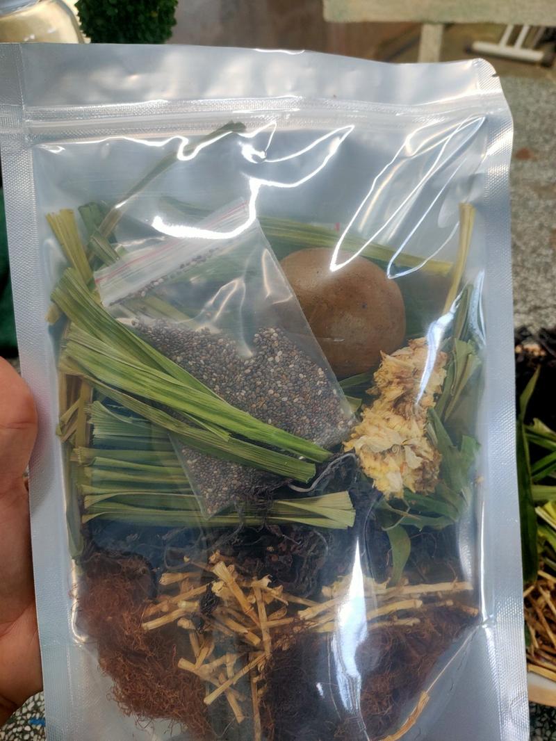 Product Introduction of sâm rong biển bông cúc tiện lợi, dễ nấu bổ dưỡng 16