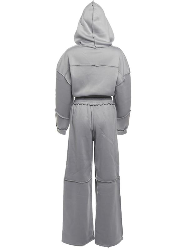 Women's Solid Zip Up Hoodie & Elastic Waist Pants Set, Casual Fashion Cozy Two-piece Set for Daily Outdoor Wear, Women's Clothing for Fall & Winter 2