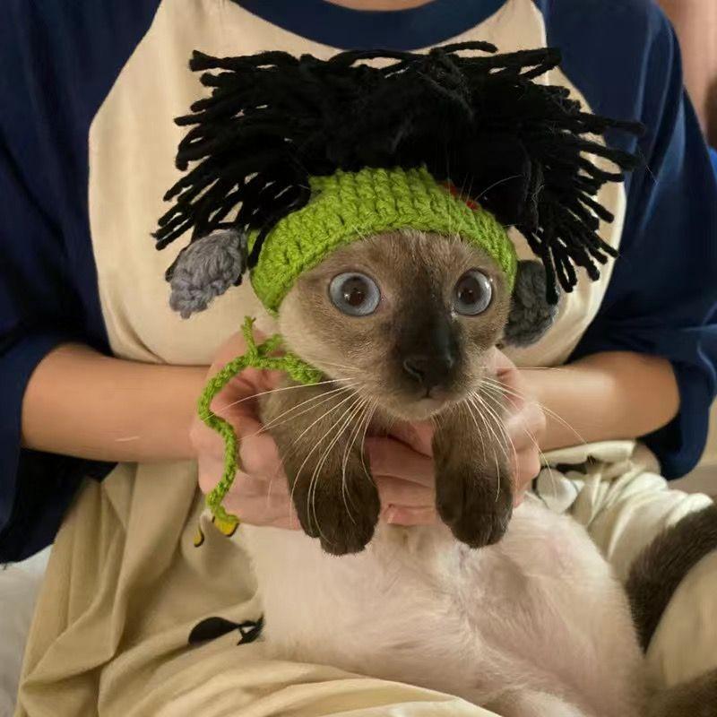 Product Introduction of Che Đầu Mèo Sphinx, Mèo Không Lông, Mũ Vui Nhộn Mèo Punk Mũ Tiệp Lộn Cho Thú Cưng Afro, Thích Hợp Cho Chó 8
