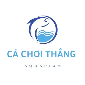 Cá Chơi Thắng