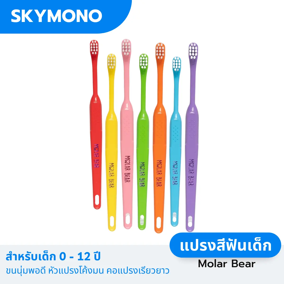 แปรงสีฟันเด็ก Molar bear สำหรับเด็ก 0-2 / 3-5 / 6-12 ขวบ ขนแปรงนุ่ม หัวแปรงเรียวยาว เด็กหญิง เด็กผู้ชาย แปรงสีฟันเด็ก1ขวบ