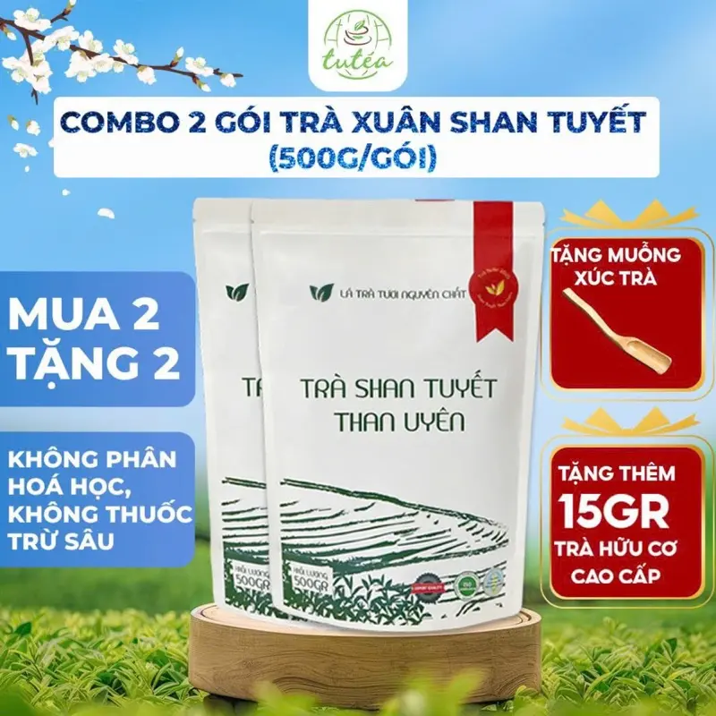 Combo 2 Túi TRÀ XUÂN 500g Trà Shan Tuyết Than Uyên Chuẩn Hữu Cơ