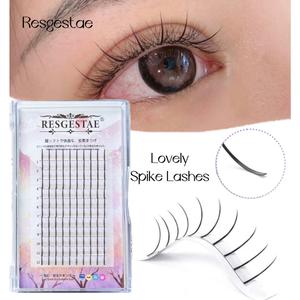 ต่อขนตา, ขนตาปลอมปลอม, หนา 0.07 มม., 120, พัดลมส่วนตัวสำเร็จรูป, เข็มบาง, ขนตานางฟ้า เครื่องสำอาง Eye