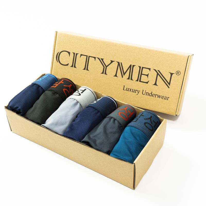 Hộp 6 Quần Sịp Nam lưng Hàn Quốc tam giác vải thun lạnh, quần lót nam -- CITYMEN