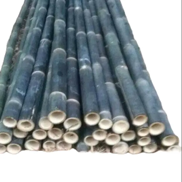 bambu hitam /bambu hitam kerajinan tangan dll 1pcs 100cm