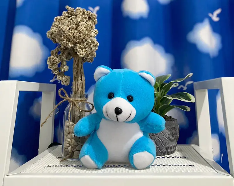 Boneka Bear Mini Boneka Teddy Bear Buket 15-16 Cm Dolls Kado Toys 7