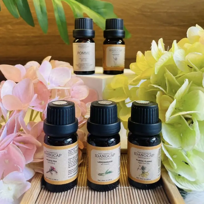 Siêu Ưu đãi Combo 5 lọ 10ml Tinh dầu thiên nhiên chính hãng 5