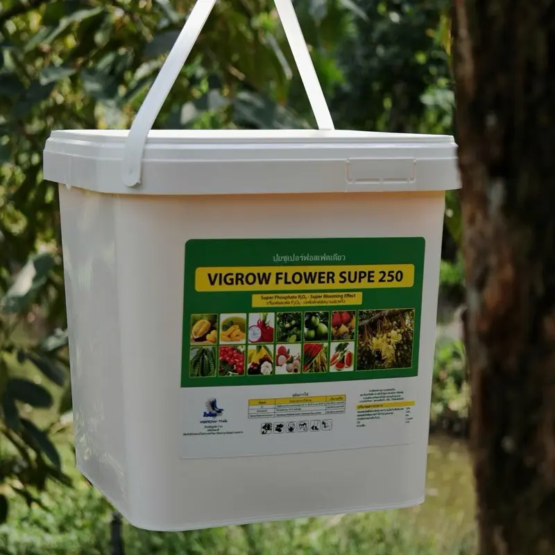 XÔ LÂN TẠO MẦM THỔ NHỈ KỲ GIÚP TẠO NHIỀU MẦM HOA, LƯU DẪN 2 CHIỀU, XANH LÁ, DẦY LÁ.
